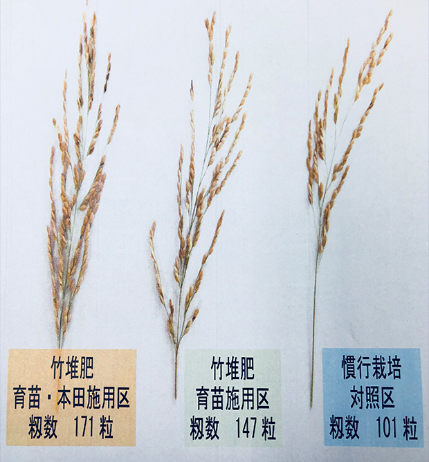 稲の試用実験結果
